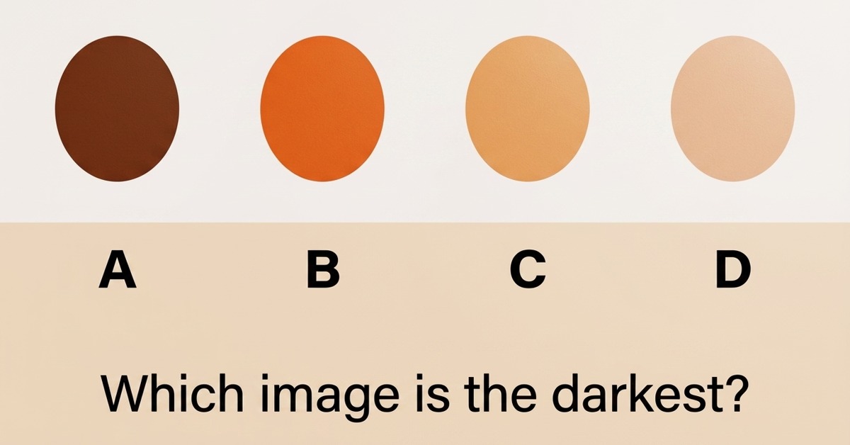 Quiz Illustration