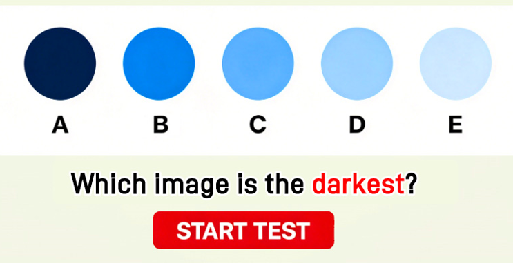 Quiz Illustration
